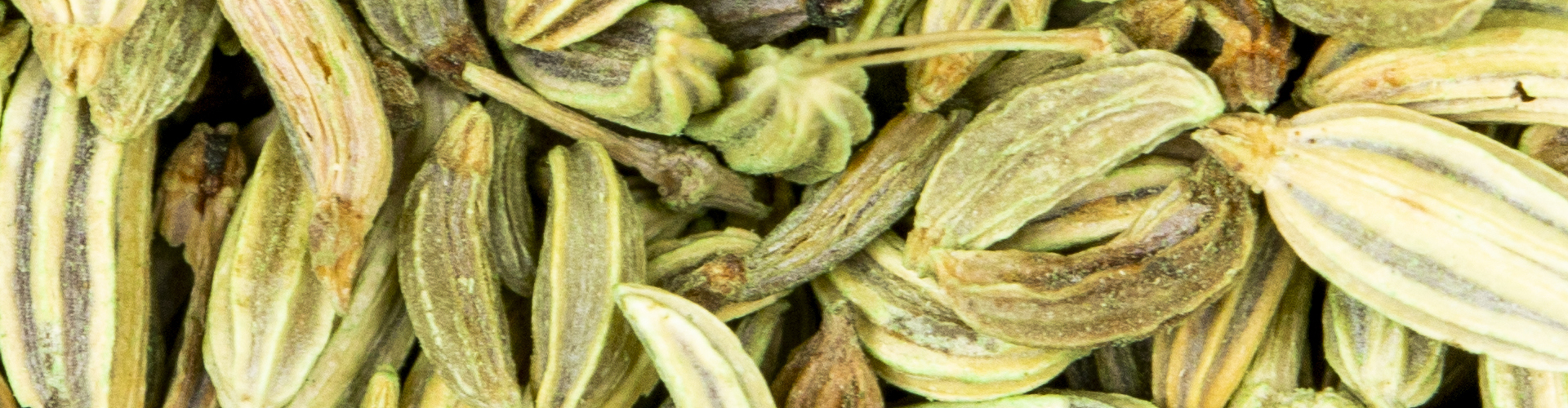 Extensive collection of elongated green cardamom pods densely clustered together displaying natural variations in shade intensity and size with clearly visible longitudinal ridges running the length of each pod
